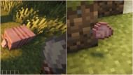 You will not be able to brush scutes out of an armadillo's shell with this mod (Image via Sportskeeda Gaming || Mojang Studios)